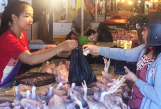 Sasar 39 Ribu Pelaku Usaha di PPU, BPS Jamin Data Sensus Ekonomi 2026 Rahasia dan Bebas Pajak