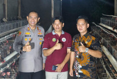 Kampung Lutan di Mahulu Fokus Kembangkan Budidaya Ayam Petelur dan Sayur Mayur 