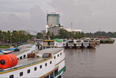 Belum Ada Kepastian BBM Subsidi, 28 Kapal Sungai di Samarinda Terhenti Operasi 15 Hari