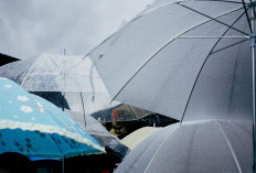 Ramalan Cuaca Kaltim dan IKN, Sabtu 15 November 2025: Hujan Mengguyur Seluruh Wilayah