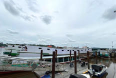 Sungai Mahakam Surut, Penghasilan Buruh Dermaga Ikut Menyusut
