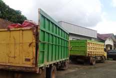 Polhut Amankan 2 Truk Bermuatan Kayu Ulin Ilegal di Kubar, Pengusaha Masih Didalami