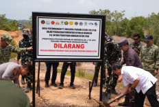 Ditambang Tanpa Izin, Satgas PKH Kembali Kuasai 111, 71 Ha Lahan Hutan di Tahura