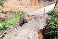 Jembatan Nangin di Siluq Ngurai Ambruk, Akses Warga Kampung Rikong Kutai Barat Lumpuh Total