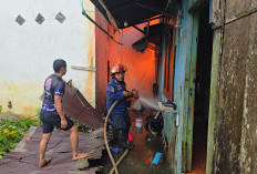 Kontrakan 4 Pintu di Berau Ludes Terbakar, Kerugian Ditaksir Capai Rp150 Juta