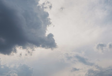 Ramalan Cuaca Kaltim dan IKN, 3 Maret 2026, Cek di Sini!