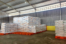 2 Ribu Ton Beras Stok Bulog Siap Penuhi Kebutuhan Masyarakat PPU dan Paser