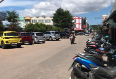 Retribusi Parkir Baru Terkumpul Rp11 Juta dari Target Rp300 Juta, Pengawasan di Lapangan Tidak Maksimal