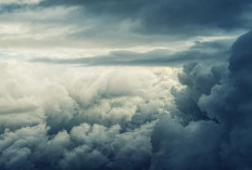 Ramalan Cuaca Kaltim dan IKN, 14 Maret 2026, Cek di Sini!