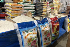 Ketergantungan Pasokan dari Luar Daerah, Harga Beras di Kutim Dijual di Atas HET