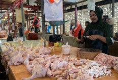 Harga Pangan di Balikpapan Mulai Naik, Pasokan Seret dan Permintaan Meningkat