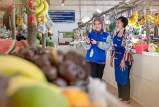 BRI Salurkan KUR Rp178,08 Triliun Sepanjang Tahun 2025, Lebih dari 60% Mengalir ke Sektor Produksi