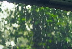 Ramalan Cuaca Kaltim dan IKN, 4 Maret 2026, Cek di Sini!