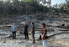 Bakar Lahan Berdalih Pupuk Alami, Dua Warga Asal PPU Langsung Ditangkap Polisi 