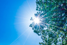 Ramalan Cuaca Kaltim dan IKN, 2 Oktober 2026, Suhu Udara Capai 34 Derajat Celcius!