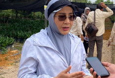 Bupati Berau Dorong Kemandirian Perajin, Terasi Lokal Ditarget Tembus Nasional