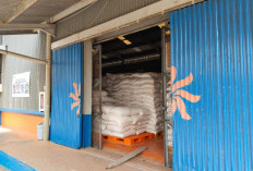 Bulog Berau Amankan Stok Pangan Hadapi Ramadan Hingga Idulfitri