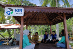 Dari Potensi Lokal ke Prestasi Nasional, Desa BRILiaN Sausu Tambu Perkuat Ekonomi Pesisir