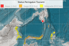 Breaking News! Gempa M7,7 Sulut Picu Tsunami, Kutim dan Berau Masuk Status Waspada BMKG
