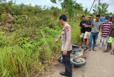 Remaja Tewas dengan Luka di Leher di Rantau Pulung, Pelaku Menyerahkan Diri