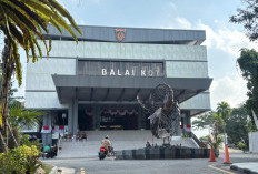 Dana Transfer Pusat Rp 26,2 Miliar Cair, Gaji PPPK Samarinda Masih Terselamatkan