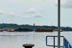 Dishub Kaltim Siapkan Rp28 Miliar untuk Tambat Tongkang di Sungai Kunjang dan Lais