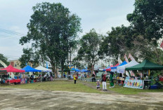 Efisiensi Anggaran Hambat Program Bantuan Pinjaman Bunga Nol Persen untuk UMKM 