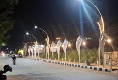 PJU Tumpang Tindih di Jalan Diponegoro 'Disemprit' Bupati Sri, Begini Penjelasan Dishub Berau