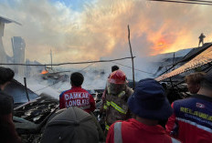 Gara-Gara Petasan, Puluhan Rumah di Kawasan Pesisir Muara Adang Paser Ludes Terbakar