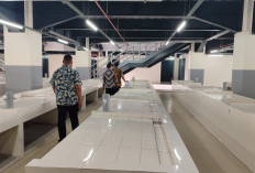 Pembagian 480 Lapak Pasar Pagi Samarinda Tunggu Arahan Inspektorat, Disdag Terima Sejumlah Aduan