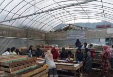 Nasabah PNM Mekaar di Bandung Barat Kembangkan Usaha lewat Sinergi Ultra Mikro BRI