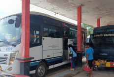 Kabar Gembira, DAMRI Siap Buka Rute Tanjung Redeb- Biduk-Biduk, Akses Wisata ke Berau Kian Terbuka 