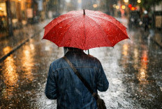 Ramalan Cuaca Kaltim dan IKN, Imlek 2577 Kongzili, Waspada Hujan Petir!