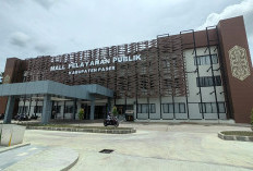 2 Bulan Beroperasi, Layanan MPP Paser Masih Butuh Penguatan Jaringan Internet