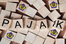 Penerimaan Pajak Kaltim-Kaltara 2025 Turun Hingga 28,87 Persen, PPN dan PPh Non Migas Alami Kontraksi Dalam