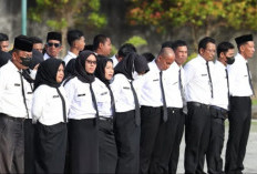 Pemkab PPU Siapkan Rp70 Miliar untuk Gaji Ribuan PPPK Paruh Waktu