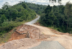 PUPR Berau Siapkan Jembatan Permanen Penghubung Tiga Kampung