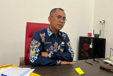 Bosda dari APBD PPU Tahun 2026 Rp31 Miliar, Bisa untuk Gaji Guru Honorer