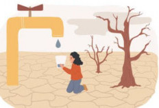 Kekeringan Ancam Penurunan Air Baku di Balikpapan, PDAM Siapkan Skenario Ini