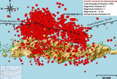 Aktivitas Gempa NTT Belum Mereda, 2.768 Susulan Tercatat hingga 19 Agustus