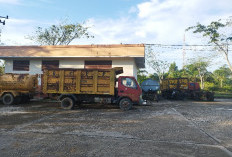 Anggaran Pengelolaan Sampah Tak Sampai 3 Persen dari APBD, PPU Gagal Meraih Adipura 2025