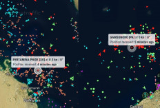 Selat Hormuz Dibuka, Harga Minyak Dunia Langsung Merosot