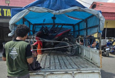 Kabur Usai Gasak Motor di Berau, Pelaku Curanmor Ditangkap di Bulungan