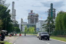 Survei BI: Optimisme Konsumen di Balikpapan Melandai 