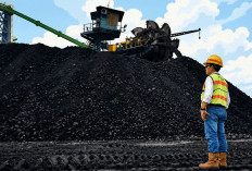 4 Perusahaan Tambang Terancam Hentikan Produksi, Disnaker Kutim Ingatkan Ancaman PHK Massal
