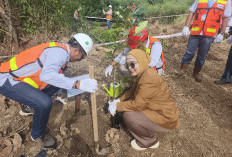  Perkuat Ekosistem Pesisir, PT IMM Rehabilitasi Mangrove dan Terumbu Karang 