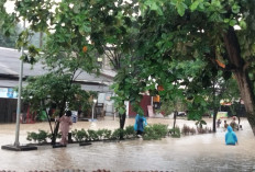 Hujan Lebat Rendam 15 Titik di Kota Tepian, Samarinda Utara Terbanyak 
