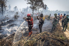 Tangani Karhutla, Prabowo Setujui Bantuan Luar Negeri