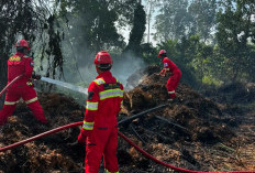 Berau Coal Kerahkan Tim Emergency Response Group Padamkan Karhutla 