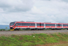 Kemenhub Bidik Investasi Rusia dan China untuk Bangun Jalur Kereta Trans Kalimantan